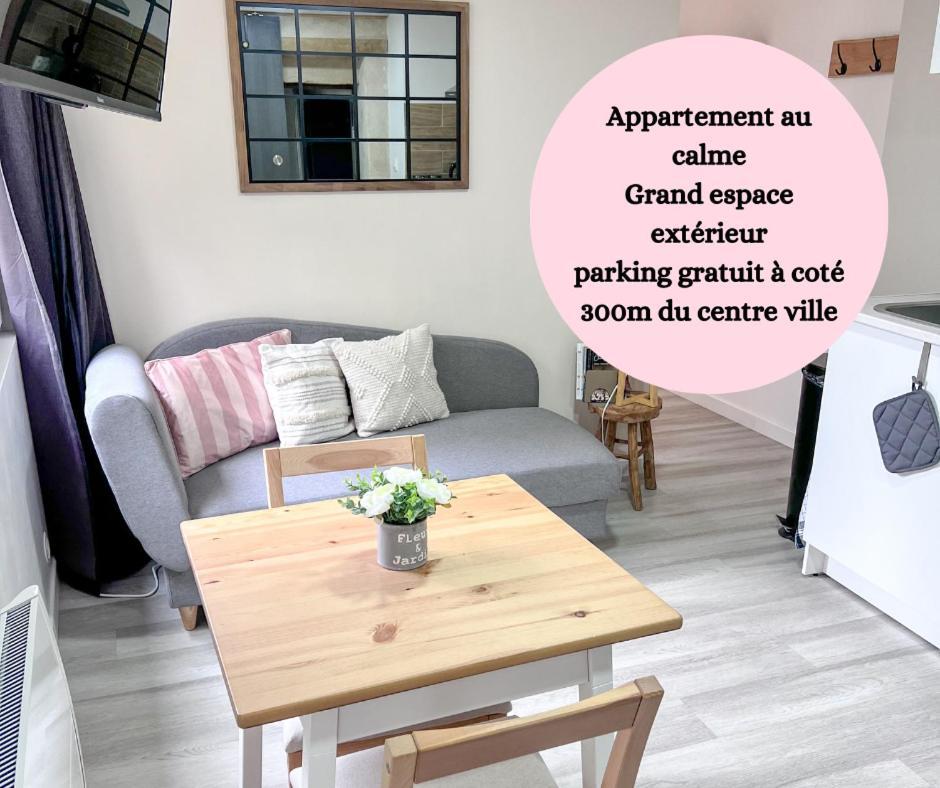 Le Badebec, Appt Dans Maison Typique Avec Jardin Prive Chinon Bagian luar foto